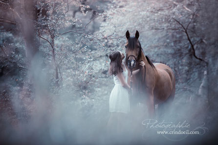 Horse Photographer @Crindoeil.jpg